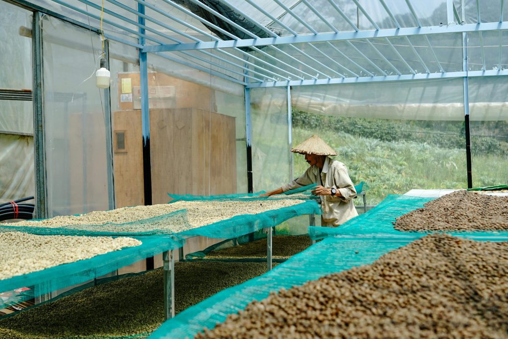 what is specialty coffee