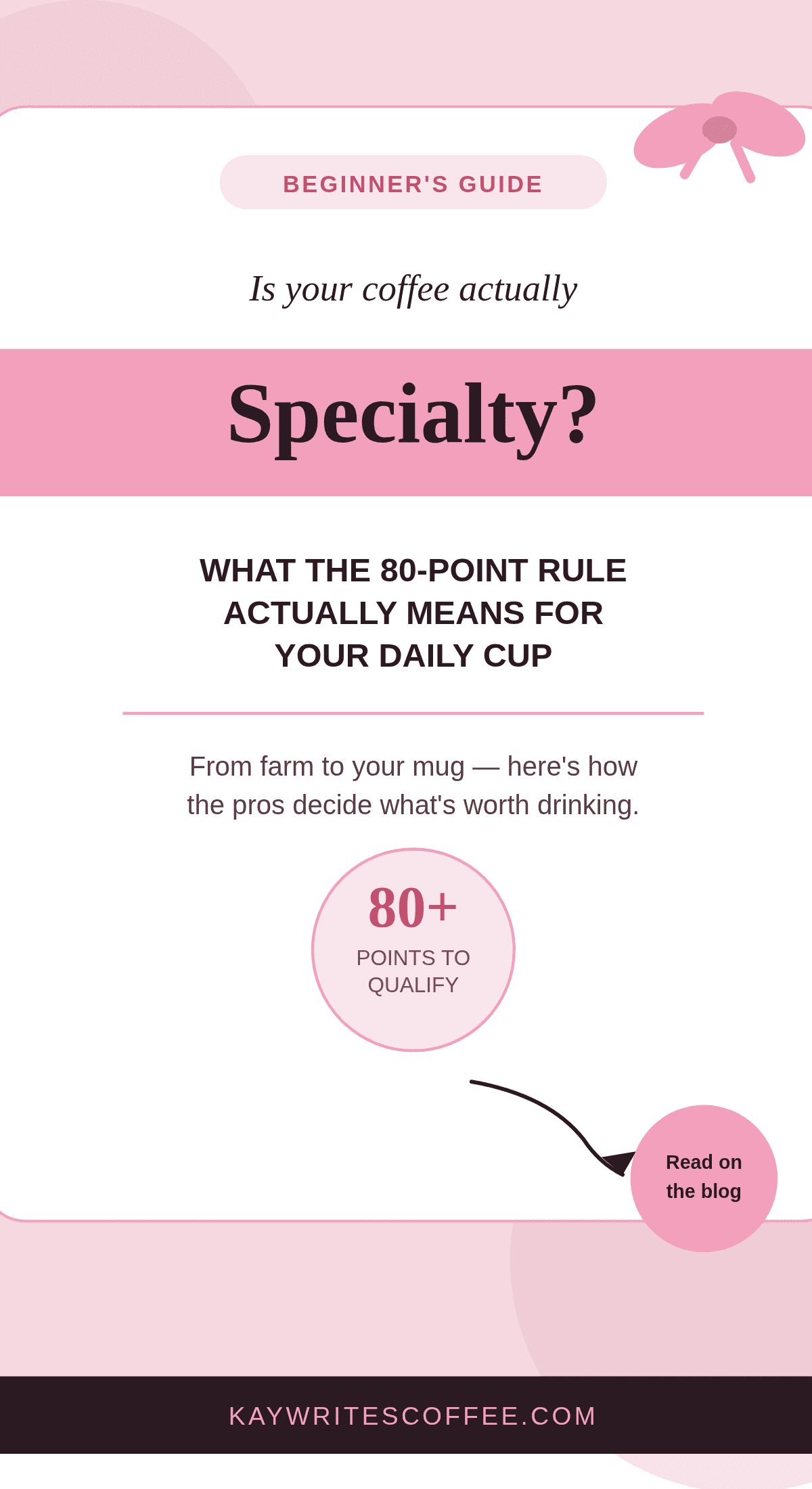 What Is Specialty Coffee? A Complete Beginner’s Guide