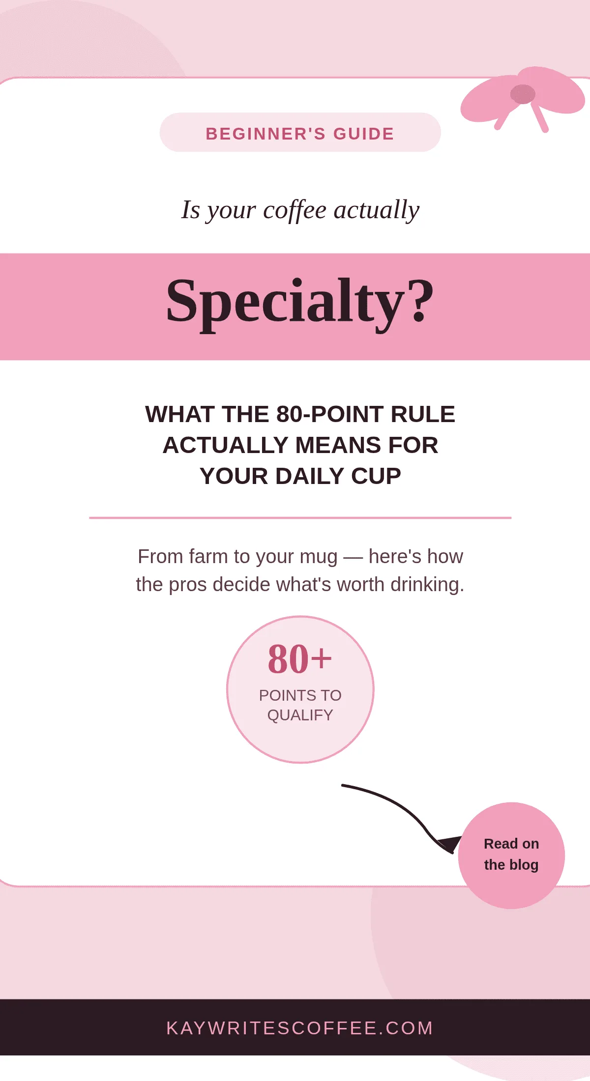 What Is Specialty Coffee? Complete Beginner’s Guide 101